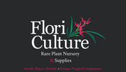 flori-culture.com