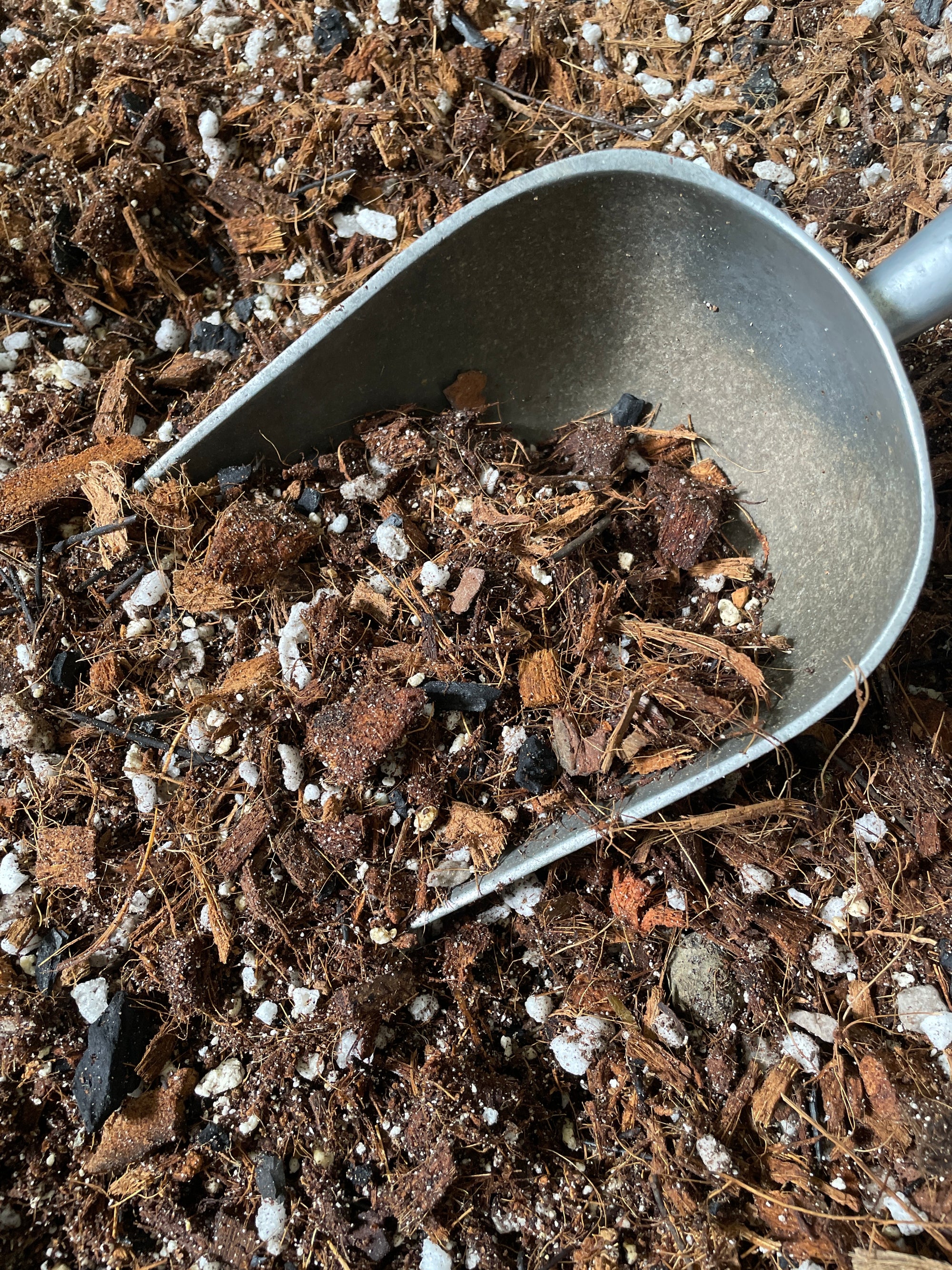 Flori-Culture "Shaggy" Coco Based Aroid, Hoya & General Tropical Mix