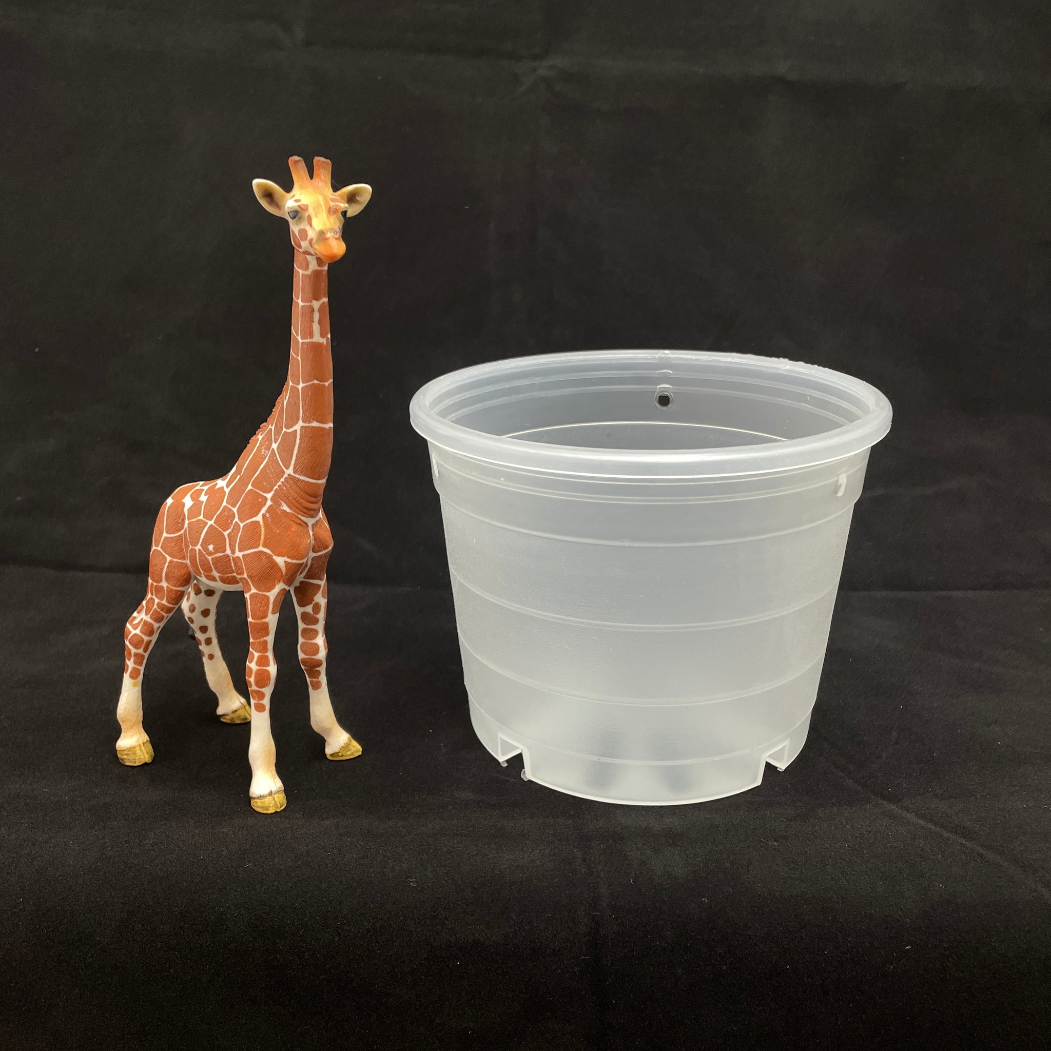 large clear plastic plant pots Round Plastic Pots - Clear