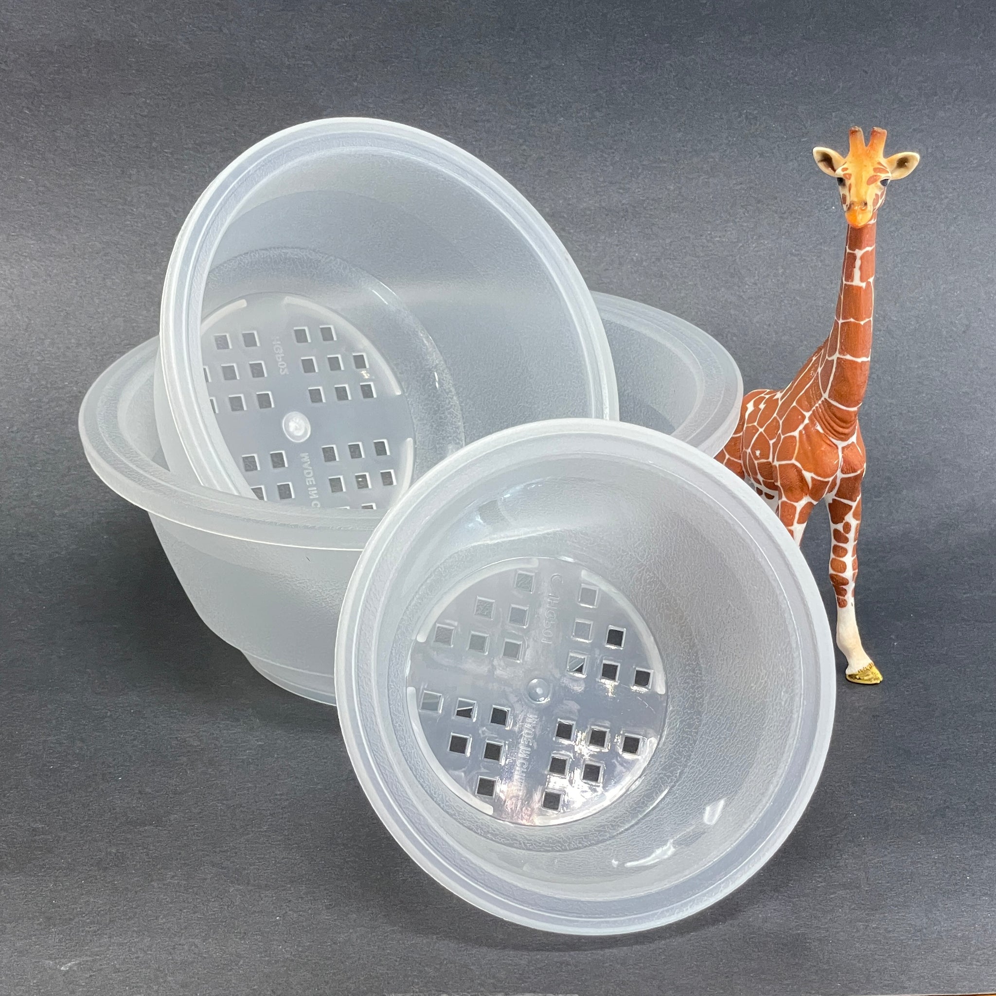 shallow planter plastic Shallow Dish Pots - Round - Plastic - Clear