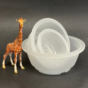 wide shallow planter plastic Shallow Dish Pots - Round - Plastic - Clear