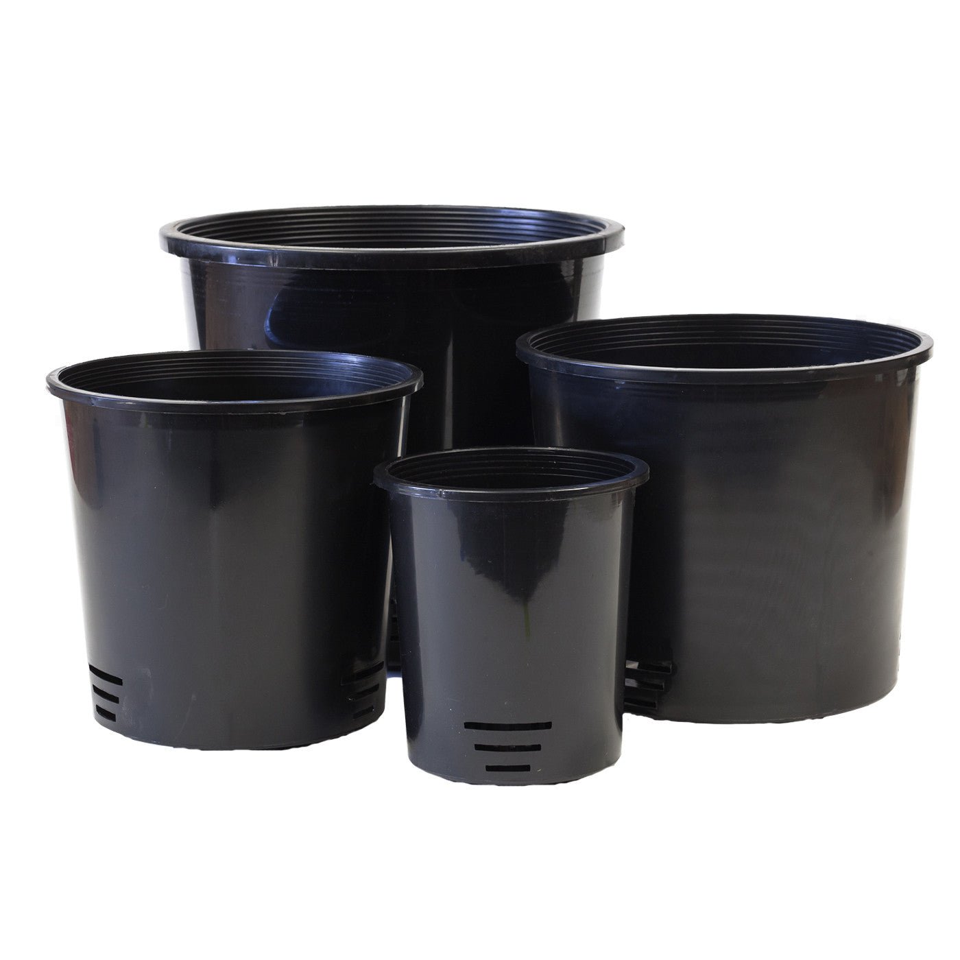 Round Plastic Pots - Clear - Flori-Culture Tropical Nursery + Hoya + Supply