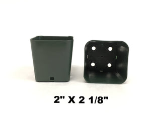 Square Plastic Pots - Green