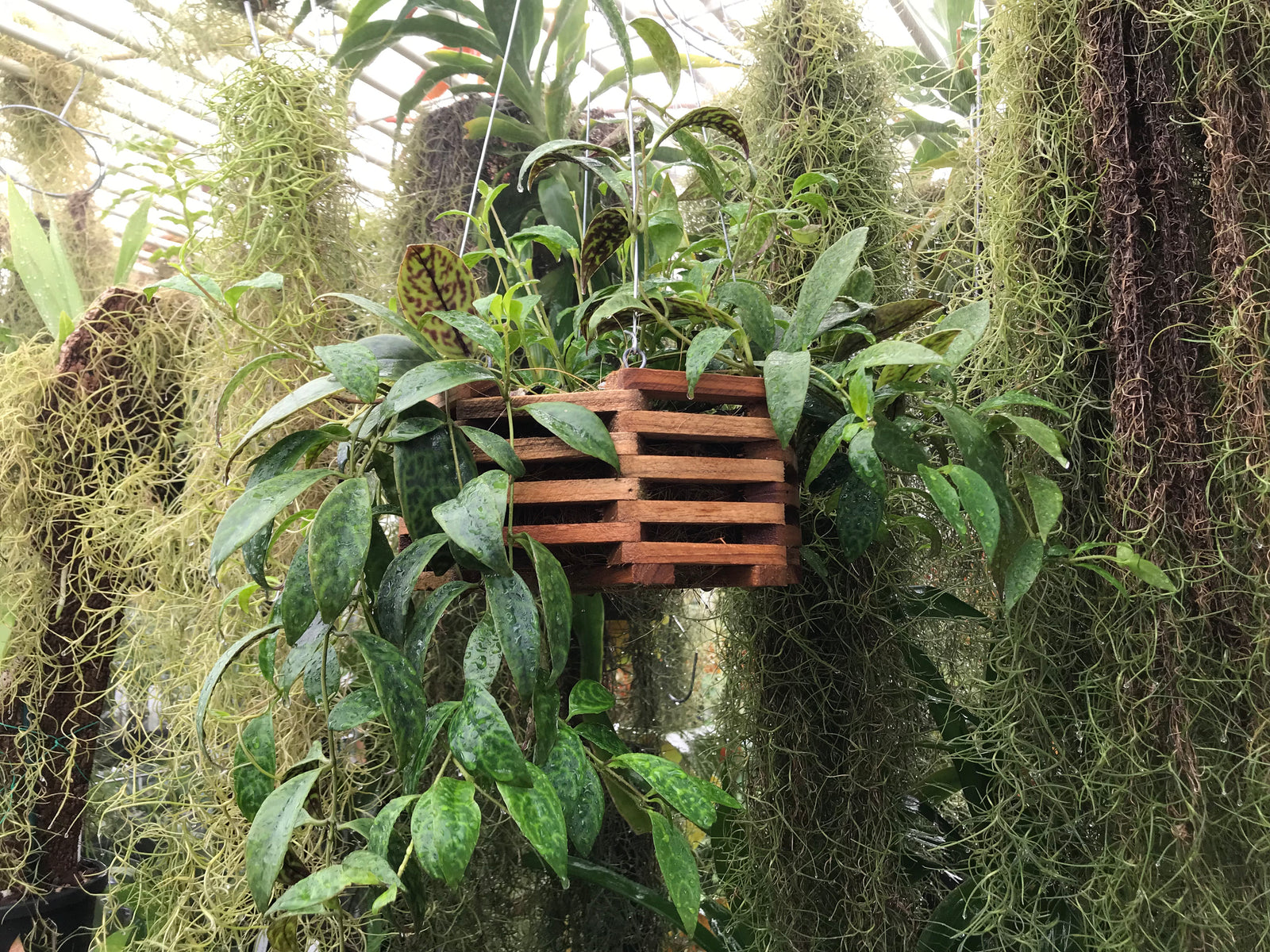 octagonal wood basket