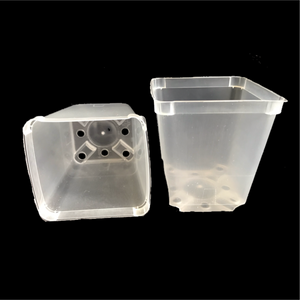 Square Plastic Pots - Clear